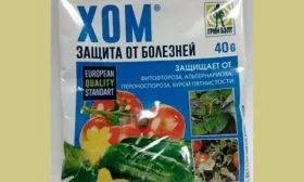 Хом пиона Йеллоу Краун19