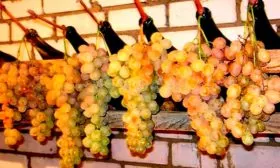 хранение винограда Мальвазия24