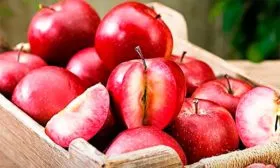 хранение яблони Байя Мариса14