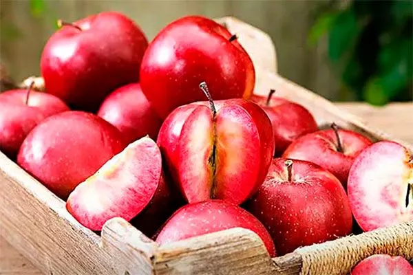 хранение яблони Байя Мариса14