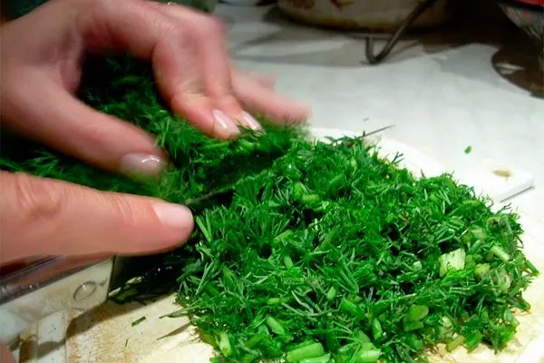 Использование зелени в кулинарии укропа Лохматый лев6