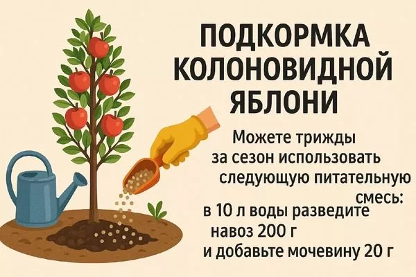 чем подкормить яблоню Джин