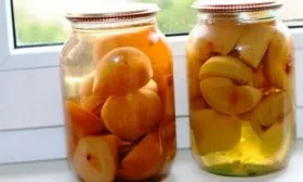 компот яблони Ветеран5