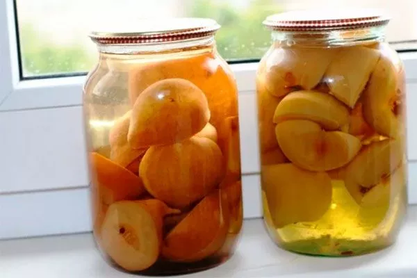 компот яблони Ветеран5