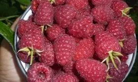 плоды Дочери Геракла