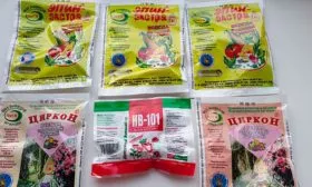 Обработка стимуляторами роста томаты Чудо Света5