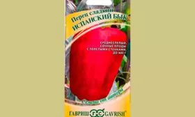 описание перец Испанский бык5