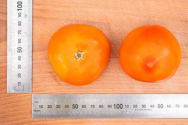 описание томатов Золотая миля8