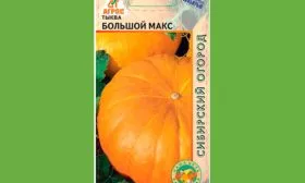 описание тыквы Большой Макс5