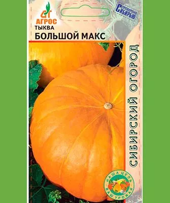 описание тыквы Большой Макс5
