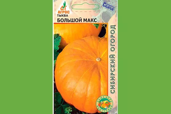 описание тыквы Большой Макс5