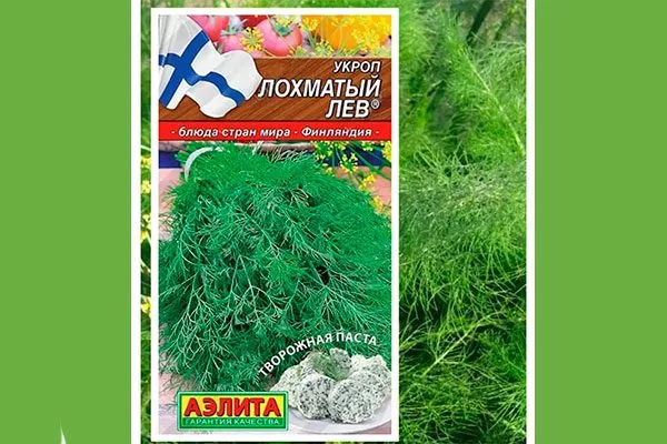 описание укропа Лохматый лев8