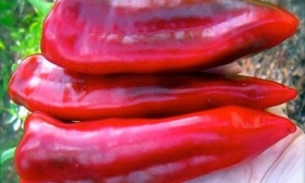 Банановый десерт