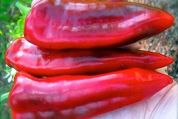 Банановый десерт