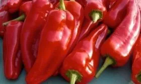 аналог сорта - Красный слон