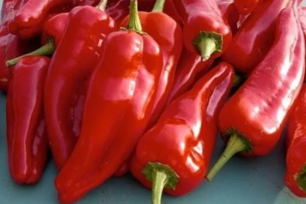 аналог сорта - Красный слон