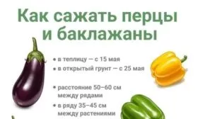 правила посадки перцев Банановый десерт