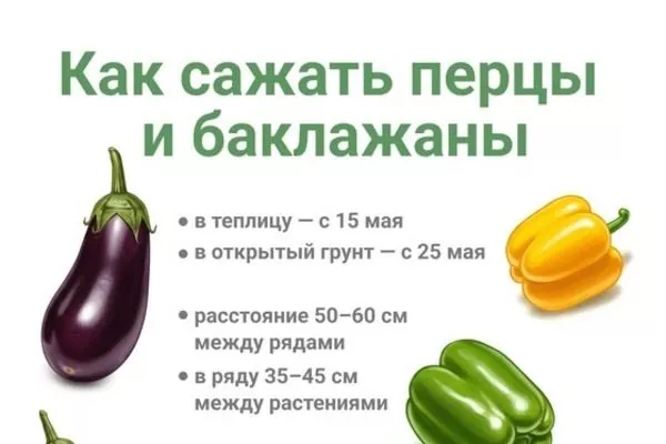 правила посадки перцев Банановый десерт