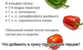 Что добавить в лунку при посадке перца Банановый десерт