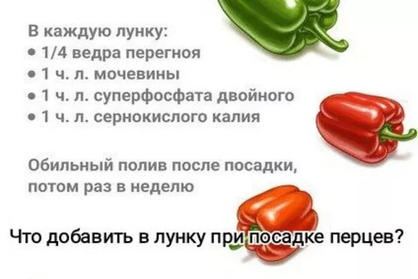 Что добавить в лунку при посадке перца Банановый десерт