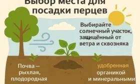 участок для выращивания перцев Банановый десерт