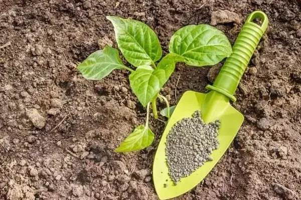 подкормка перца Банановый десерт