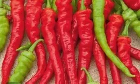 Бараний рог