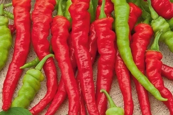 Бараний рог