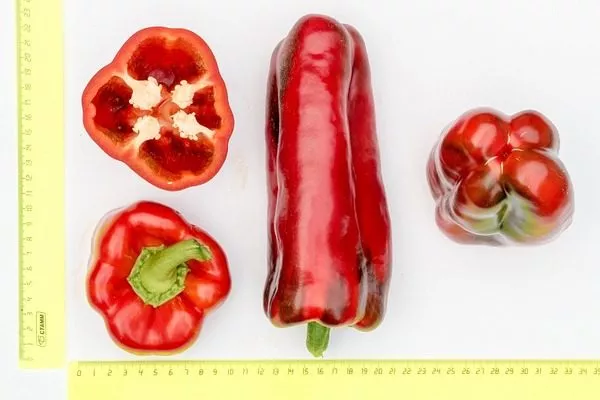 плод сорта Ливадия