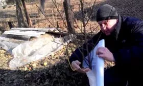 Подготовка к зиме яблони Ветеран11