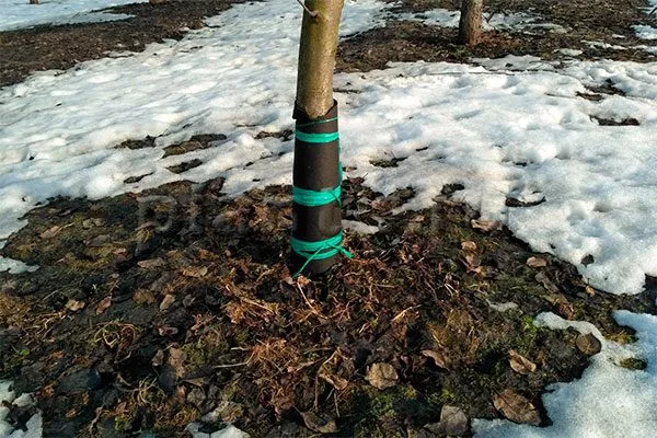 Подготовка к зиме