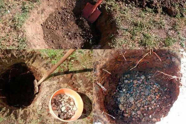 Подготовка посадочной ямы