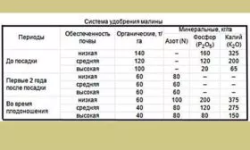 Подкормка малины Малиновая гряда9