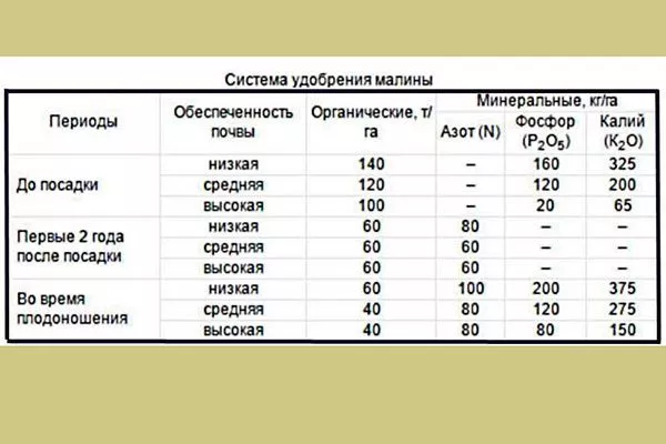 Подкормка малины Малиновая гряда9