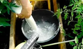 Подкормка томаты Чудо Света10