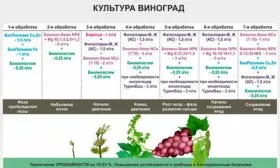 подкормки и обработка винограда Мальвазия21