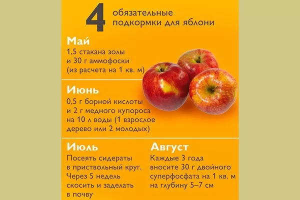 подкормки схема яблони Чёрный принц9