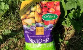 Подкормки яблони Чёрный принц10