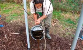 Полив яблони Славянка9