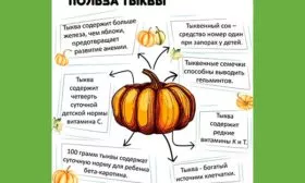 польза тыквы Акорн10