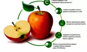 польза яблони Красное раннее18
