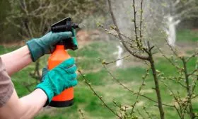 Правила санитарной обработки