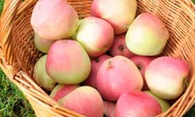 сбор урожая