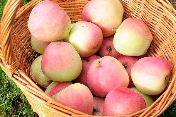 сбор урожая