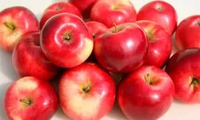 сбор яблок Веньяминовское8