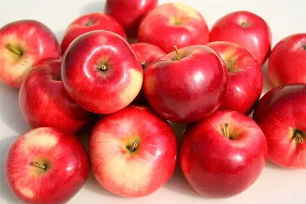 сбор яблок Веньяминовское8