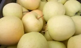 сбор Яблоня Голден Делишес23