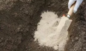 улучшение структуры земли для выращивания сливы Подгорная