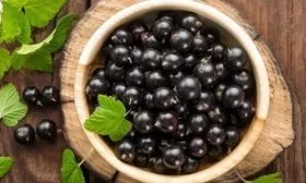 урожай Ермак