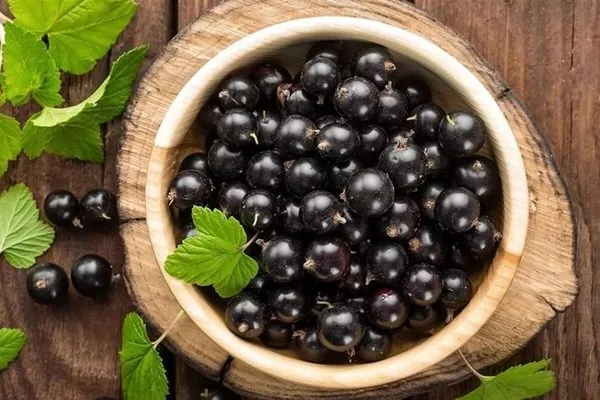 урожай Ермак